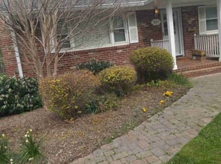 Bush Trimming by Tyrone Wilkins for Heather F. in Falls Church, VA