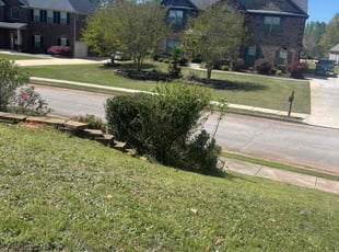 Bush Trimming by Amber Wright for Aaron A. in Locust Grove, GA