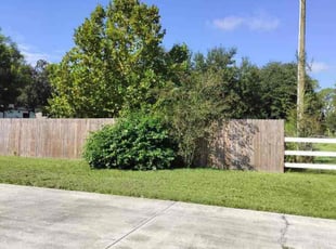 Conceptia C.'s Lawn Service service result
