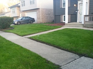 Paris Q.'s Yard Cutting service result