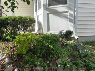 Bush Trimming by Brandon Chapman for William B. in Raleigh, NC