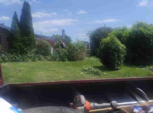 Bush Trimming by Dave/Ethan Niedrist for Rodney S. in Levittown, PA