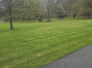 Aaron M.'s Lawn Service service result