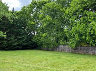 Kenneth B.'s Lawn Maintenance service result