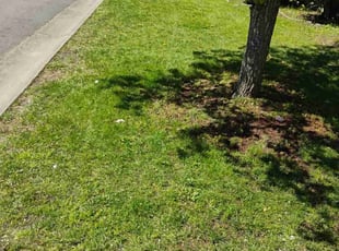 Cleanups by MATTHEW GRIGSBY for Katrina M. in Puyallup, WA