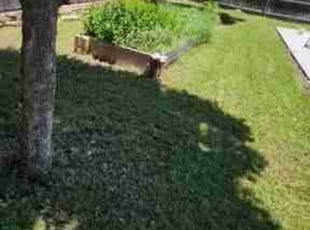 Jess F.'s Lawn Care service result