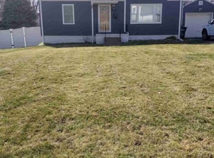 Leaf Removal by Tim Birch for Steven C. in Omaha, NE