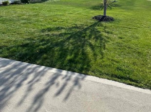 Tony A.'s Yard Cutting service result