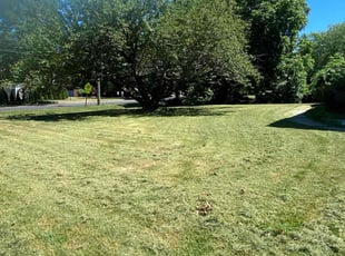 Bennie H.'s Lawn Mowing service result