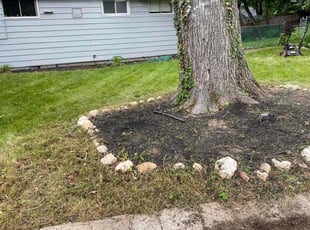 Cleanups by Nelson Valles for Katherine R. in Rockville, MD