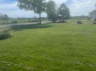 Nancy P.'s Yard Cutting service result