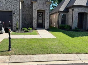 Steve T.'s Lawn Mowing service result
