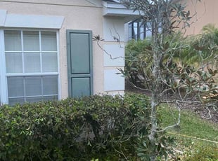 Bush Trimming by Dominque Wortham for Freddie C. in Parrish, FL
