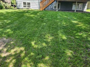 JJoel B.'s Lawn Care service result