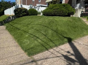 Lisa S.'s Lawn Service service result