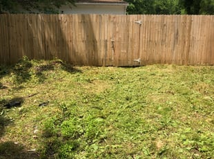 Cleanups by Aaron Kinchen for Lilith Z. in Richmond, VA