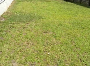 Leaf Removal by Ethan Poissant for Robert C. in Uxbridge, MA