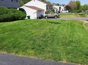 Jeffrey G.'s Lawn Service service result