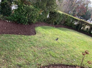 Leaf Removal by Darryl Blanchard for Diana C. in Rockville, MD
