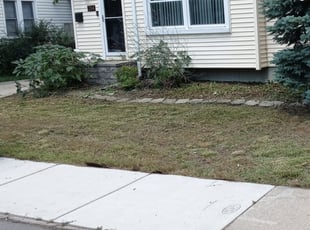 Cleanups by Duran Bernard for Alexa S. in Ferndale, MI