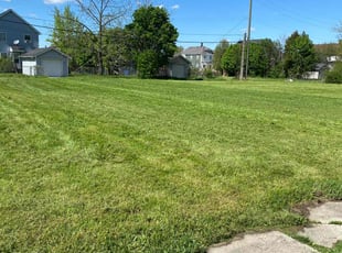 Marilyn M.'s Lawn Mowing service result