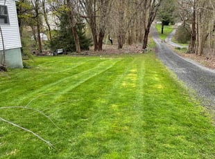 Bibek A.'s Lawn Mowing service result