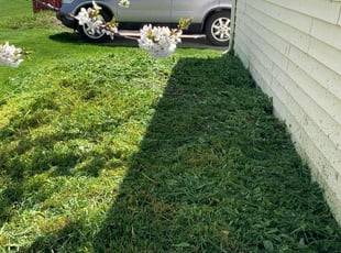 Weeding by Shawn Beardall for Shelley B. in Spanish Fork, UT