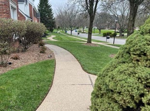 Clay R.'s Lawn Mowing service result