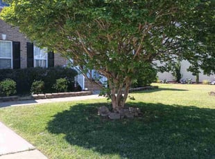 Jessie L.'s Lawn Maintenance service result