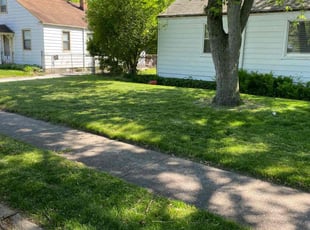 Alisa B.'s Lawn Maintenance service result