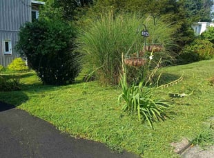 Whitney M.'s Lawn Service service result