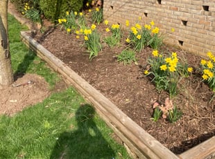 Weeding by Samuel Jordon for Patricia M. in Lutherville-Timonium, MD