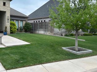 David L.'s Lawn Care service result