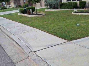 Diana H.'s Lawn Mowing service result