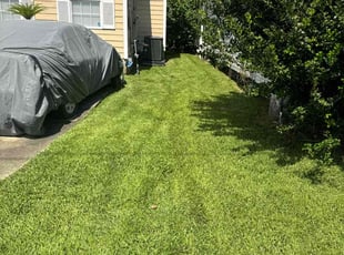 Richard S.'s Lawn Mowing service result