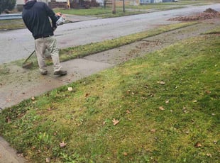 Leaf Removal by Richard Vonderau for Anthony N. in Cleveland, OH