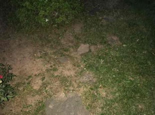 Weeding by Tushar Rawat for Shannon K. in Burke, VA
