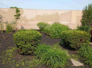 Bush Trimming by Phillip Whitt for Chanel N. in Worthington, OH