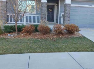 Bush Trimming by Chen Vang for Charles S. in Arvada, CO