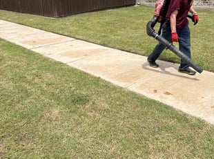 Weeding by Dusty Posey for Demichael R. in Little Elm, TX