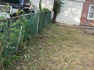Bush Trimming by Jhon Reyes for Cecil G. in Pennsauken Township, NJ