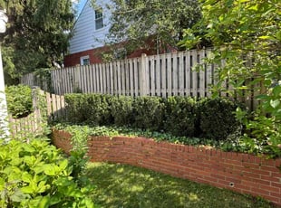 Manuel E.'s Bush Trimming service result