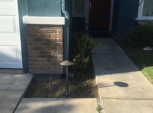 Weeding by Leonnardo Singleton for Dorita B. in Corona, CA