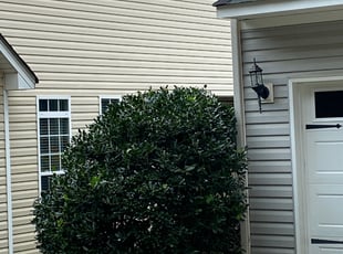 Bush Trimming by Brandon Brewer for Gwen H. in Huntersville, NC