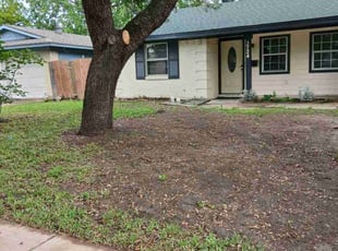 Leaf Removal by Valente Alvarado for Damitri R. in Mesquite, TX