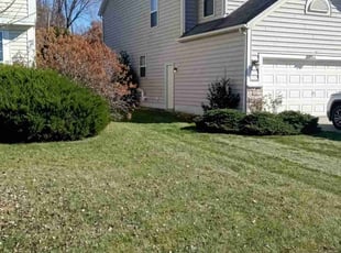 Bush Trimming by Elisha Nelson for Daniel T. in Blacklick, OH