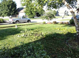 Weeding by Tony Barr for Tony T. in Maize, KS