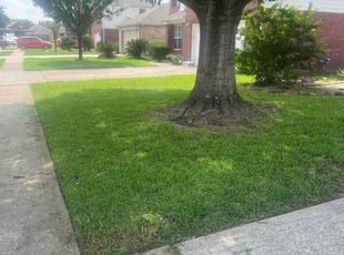 John S.'s Lawn Care service result