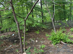Leaf Removal by Mardoche guerrier for Brittany R. in Kennesaw, GA