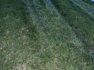 Leaf Removal by Garrick Murphy for Heidi G. in Raytown, MO